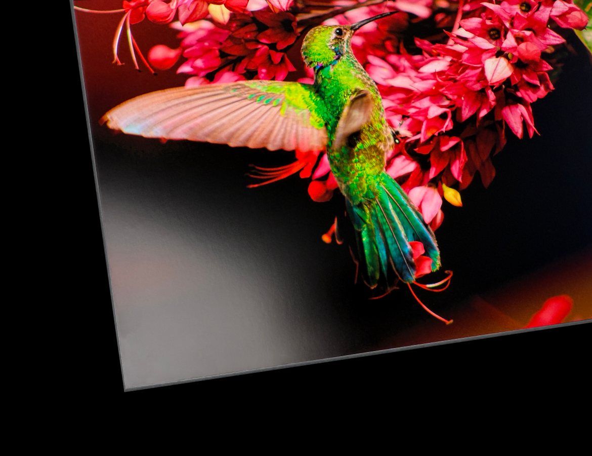 HD Mounted Prints